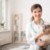 Online Consultation & Treatment-Cats