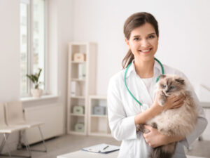 Online Consultation & Treatment-Cats
